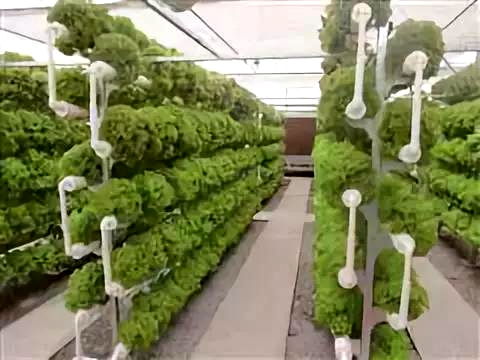 彩虹故鄉(xiāng)，又踏層峰望眼開 互助縣經(jīng)濟(jì)社會(huì)發(fā)展紀(jì)實(shí)中的農(nóng)業(yè)種植技術(shù)開發(fā)