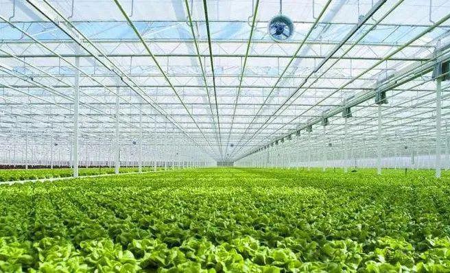 發(fā)展設(shè)施農(nóng)業(yè)，推動農(nóng)業(yè)技術(shù)革新