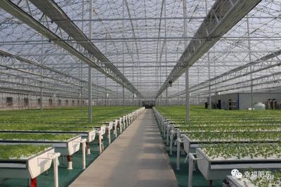 科技賦能，田園生輝 肥東現(xiàn)代農(nóng)業(yè)示范園即將盛大開園