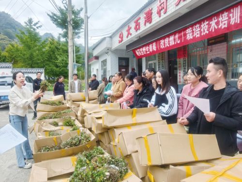 小漿果孕育大產業 以農業種植技術開發驅動鄉村經濟新增長